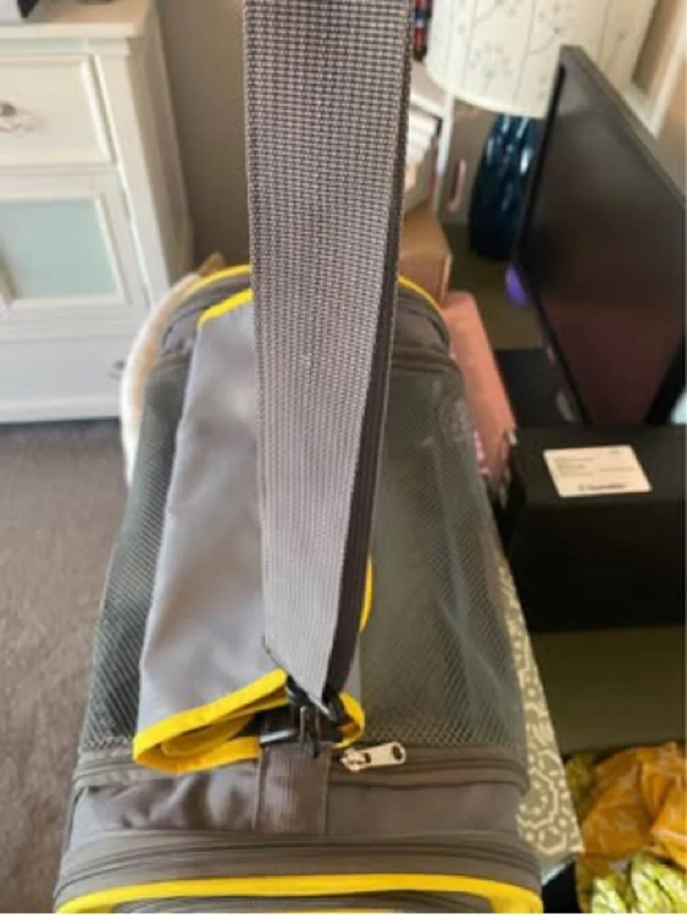 Gray and Yellow Soft-Sided Dog Carrier Travel Bag